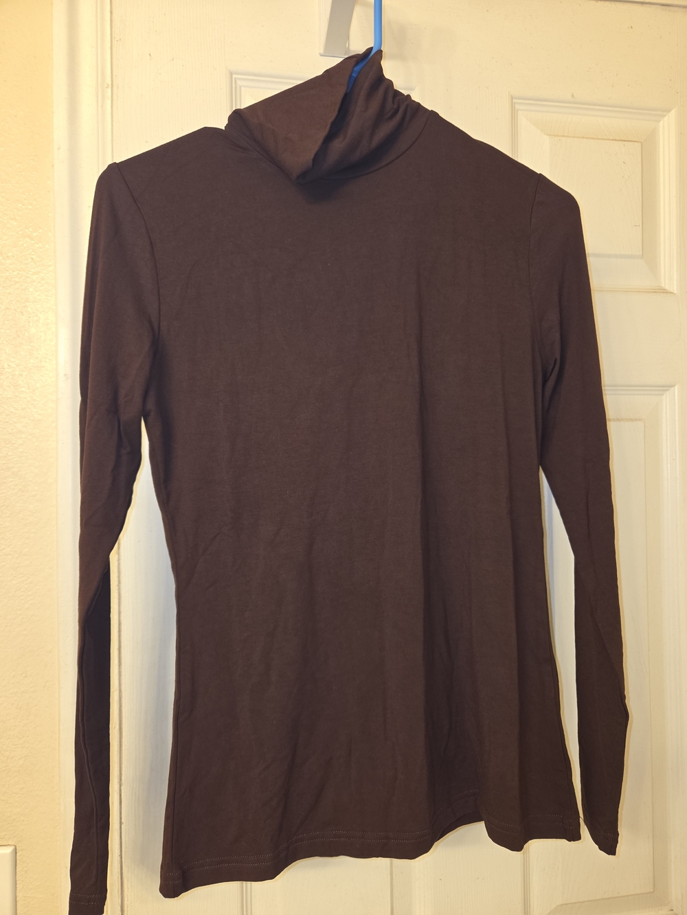 Aleeza Paris Long Sleeve Turtleneck Top in Chocolate Brown